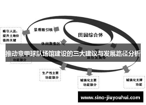 推动意甲球队场馆建设的三大建议与发展路径分析 推动意甲球队场馆建设的三大建议与发展路径分析