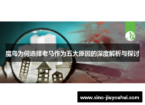 魔鸟为何选择老马作为五大原因的深度解析与探讨 魔鸟为何选择老马作为五大原因的深度解析与探讨