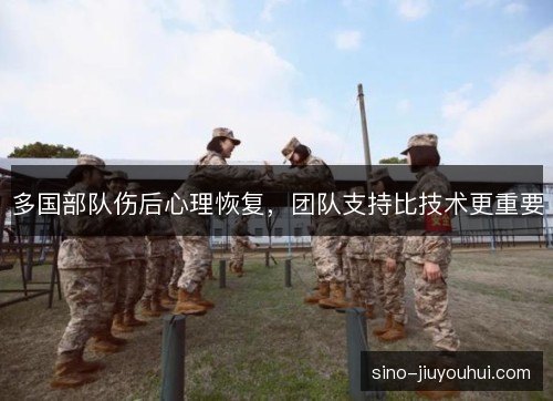 多国部队伤后心理恢复,团队支持比技术更重要 多国部队伤后心理恢复,团队支持比技术更重要